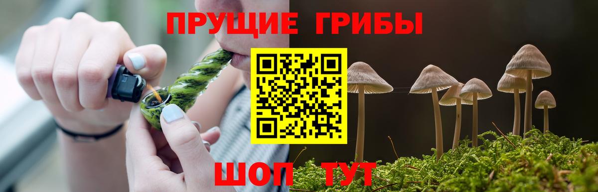 Псилоцибиновые грибы MAGIC MUSHROOMS  Псилоцибиновые грибы ЛСД  Рузаевка  Вход с VPN 